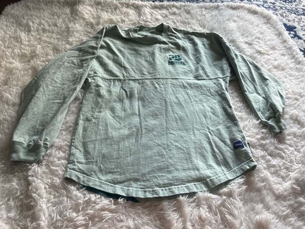 Disney's Animal Kingdom 25th Anniversary Mint Green Spirit Jersey XS
